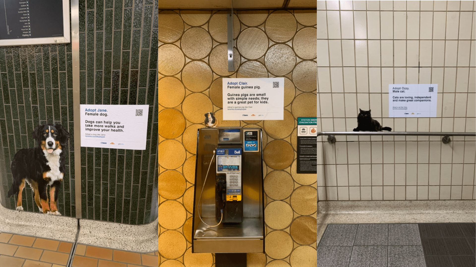Images of a dog, cat, and guinea pig in the Toronto subway with messaging about benefits of having a pet